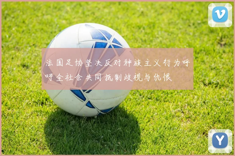 法国足协坚决反对种族主义行为呼吁全社会共同抵制歧视与仇恨
