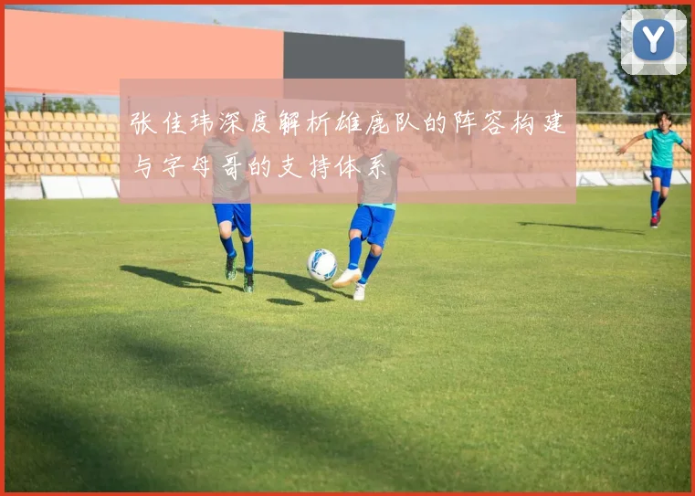 张佳玮深度解析雄鹿队的阵容构建与字母哥的支持体系