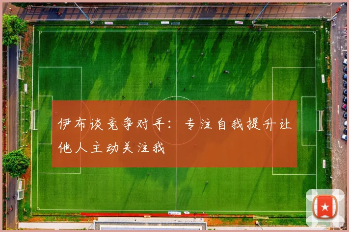 伊布谈竞争对手：专注自我提升让他人主动关注我