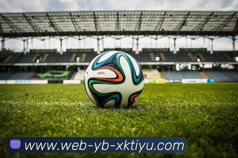 App Interface Preview